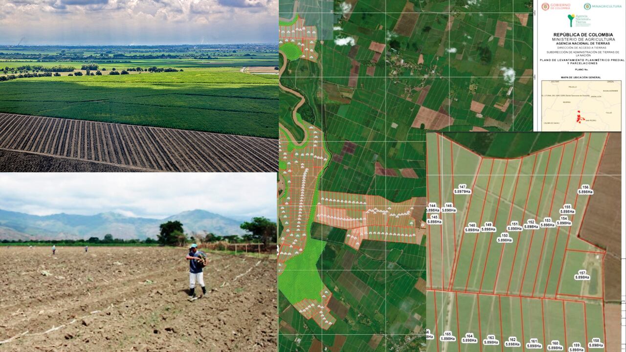 Estas tierras fueron entregadas por el expresidente Álvaro Uribe, como un ejercicio de reparación a víctimas del conflicto armado.