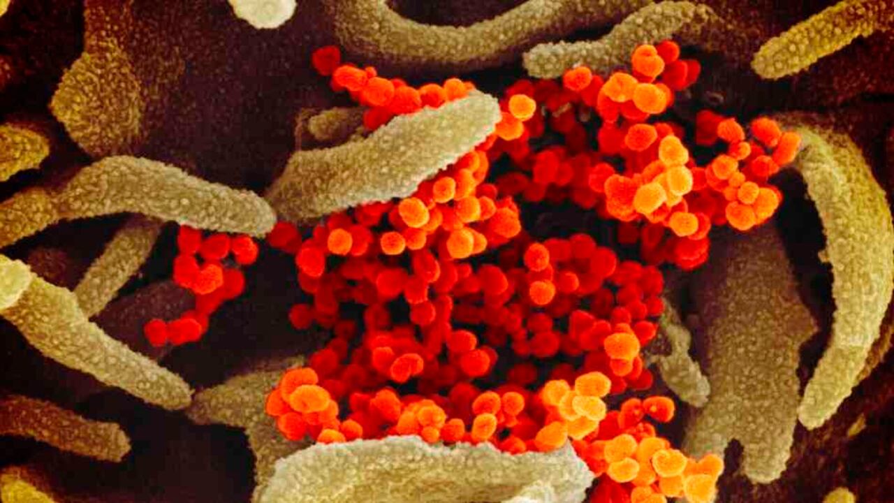 Facebook y YouTube eliminan video que propaga mentiras sobre el coronavirus