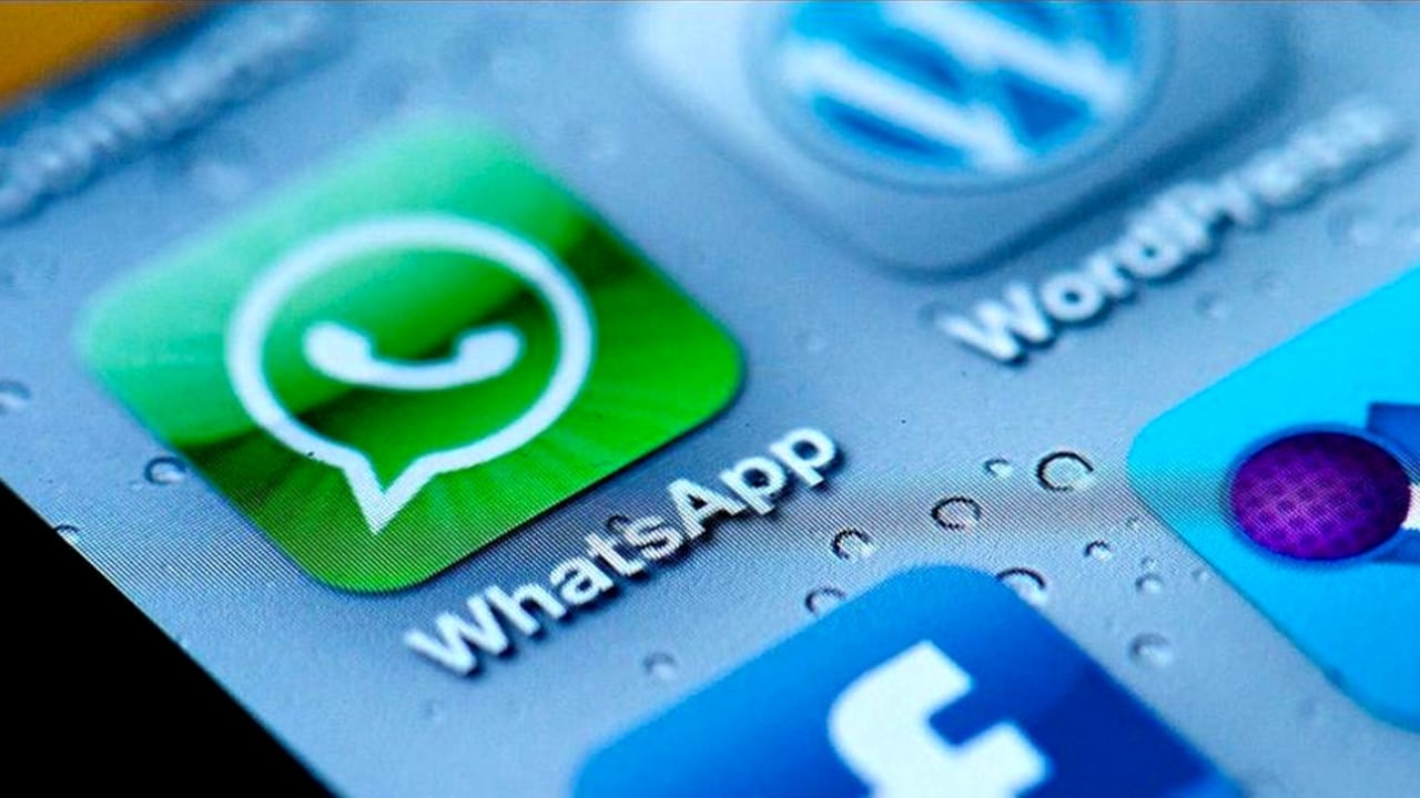 ¿Cómo funciona el buscador de stickers de WhatsApp?