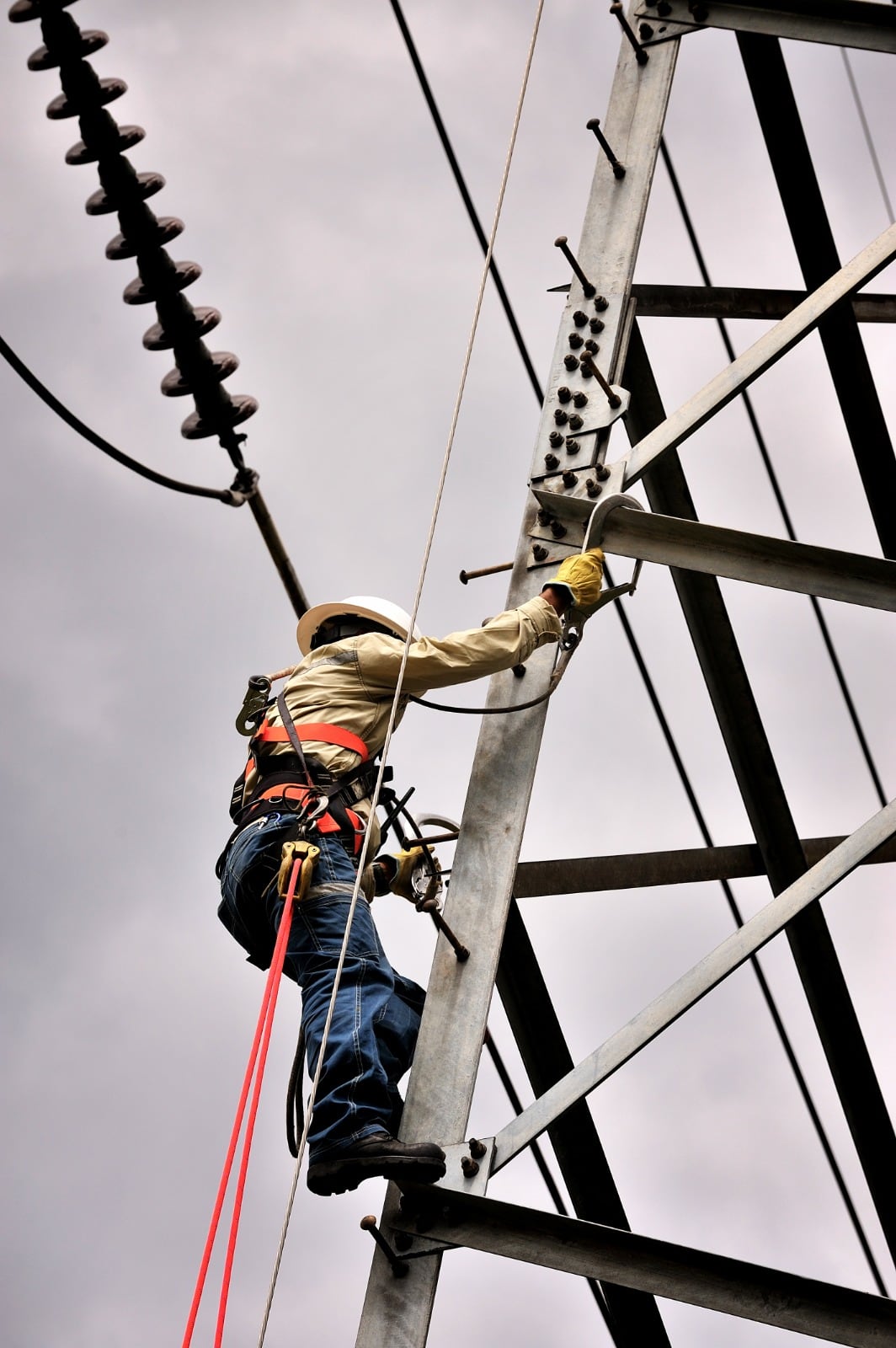 Los cortes obedecen a trabajos de mantenimiento