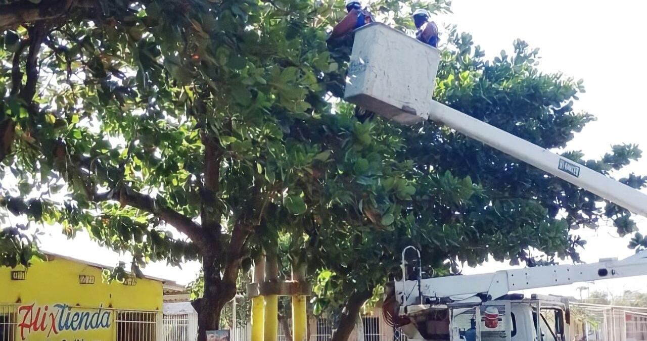 La empresa hará mantenimientos a las redes eléctricas.