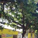 La empresa hará mantenimientos a las redes eléctricas.