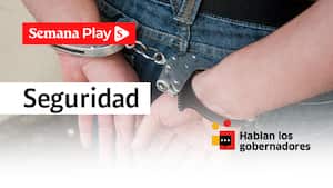 Seguridad - Hablan los gobernadores