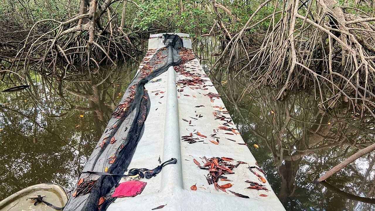 A pesar de los informes de Washington, la droga seguiría fluyendo hacia Estados Unidos.