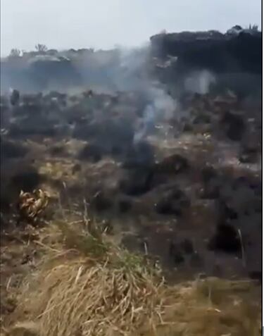El incendio duró cerca de 48 horas, por lo cual se quemados decenas de frailejones.