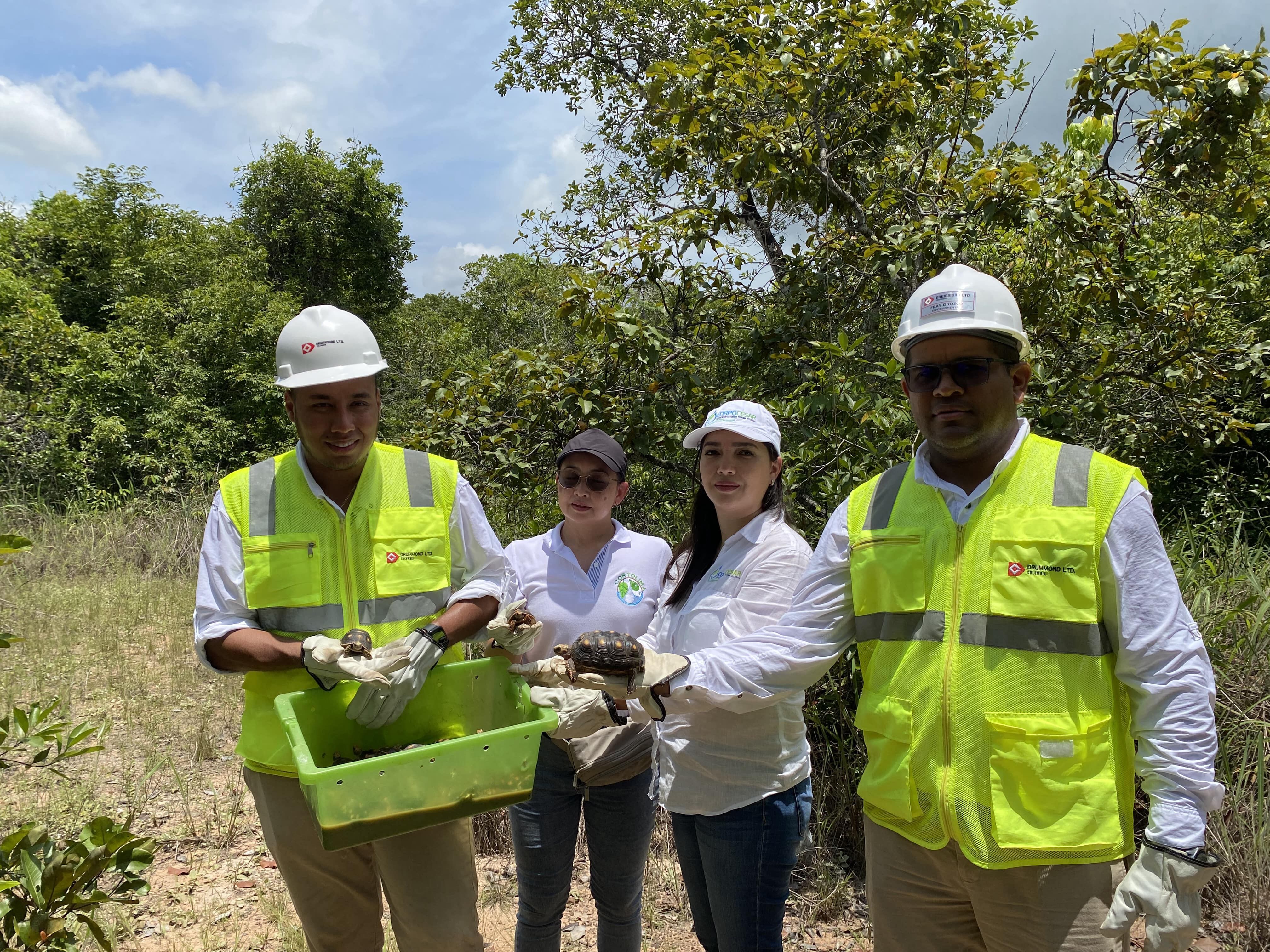 Especial Biodiversidad, Drummond