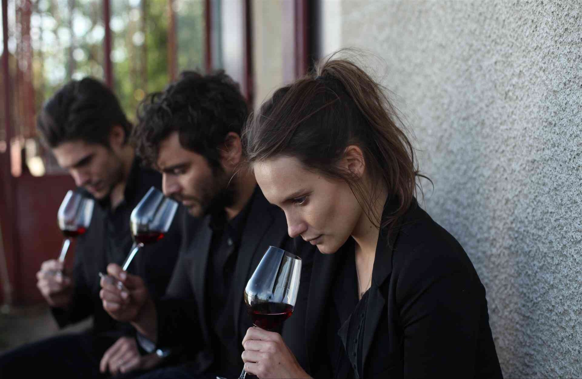 De regreso a Borgoña (2016) La película dirigida por Cédric Klapisch es un fino retrato de los viñedos de Borgoña, caracterizados por ser algunos de los mejores del mundo. La película es un acercamiento a las relaciones humanas, explorando las conexiones entre una familia de vinicultores. El vino y los viñedos se transforman en el lugar de reunión y entendimiento.