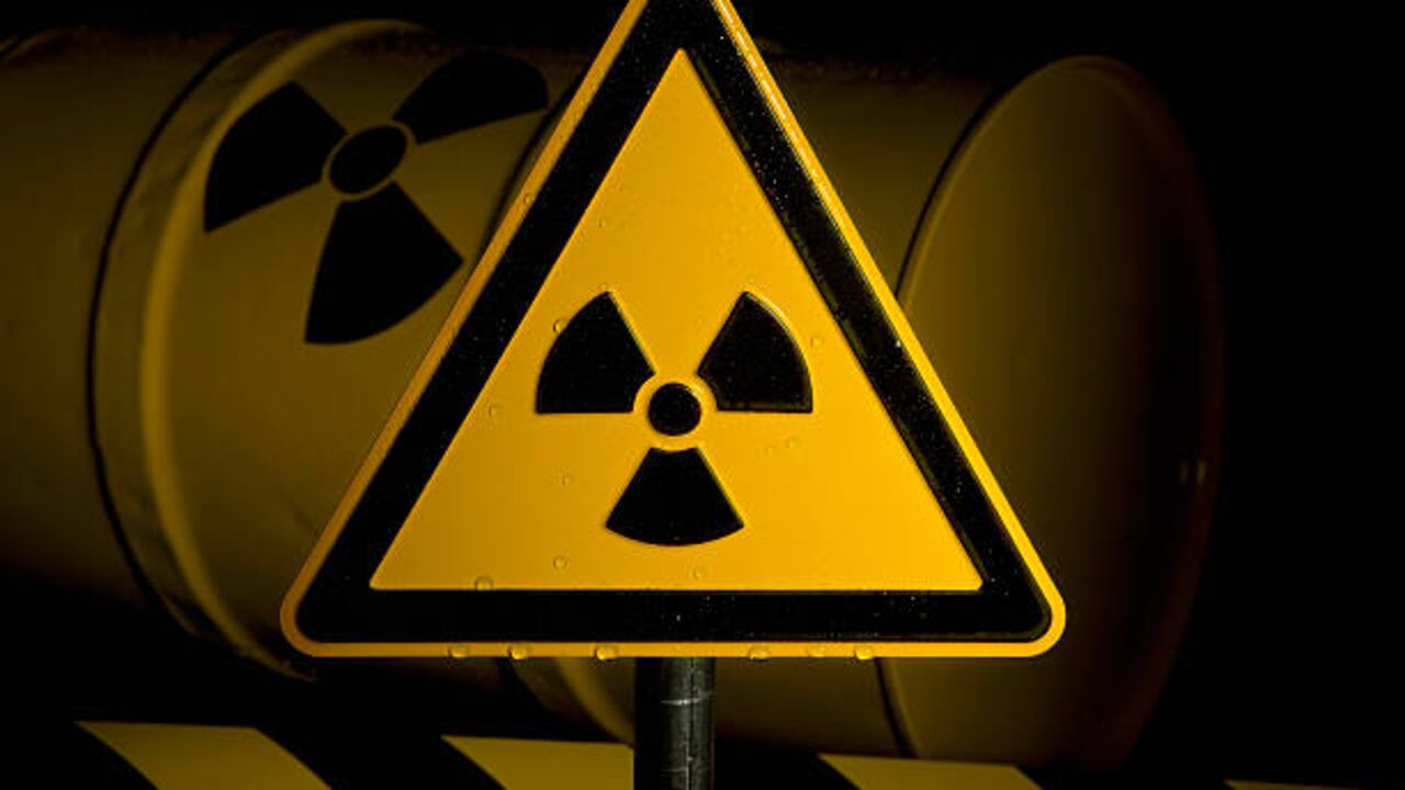 El nido fue encontrado en un tanque de la planta que otrora fue productora de material nuclear.