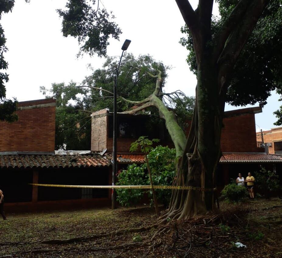 Uno de los árboles que cayó fue reportado en la calle 73 con carrera 7L Bis, en el barrio Alfonso López.