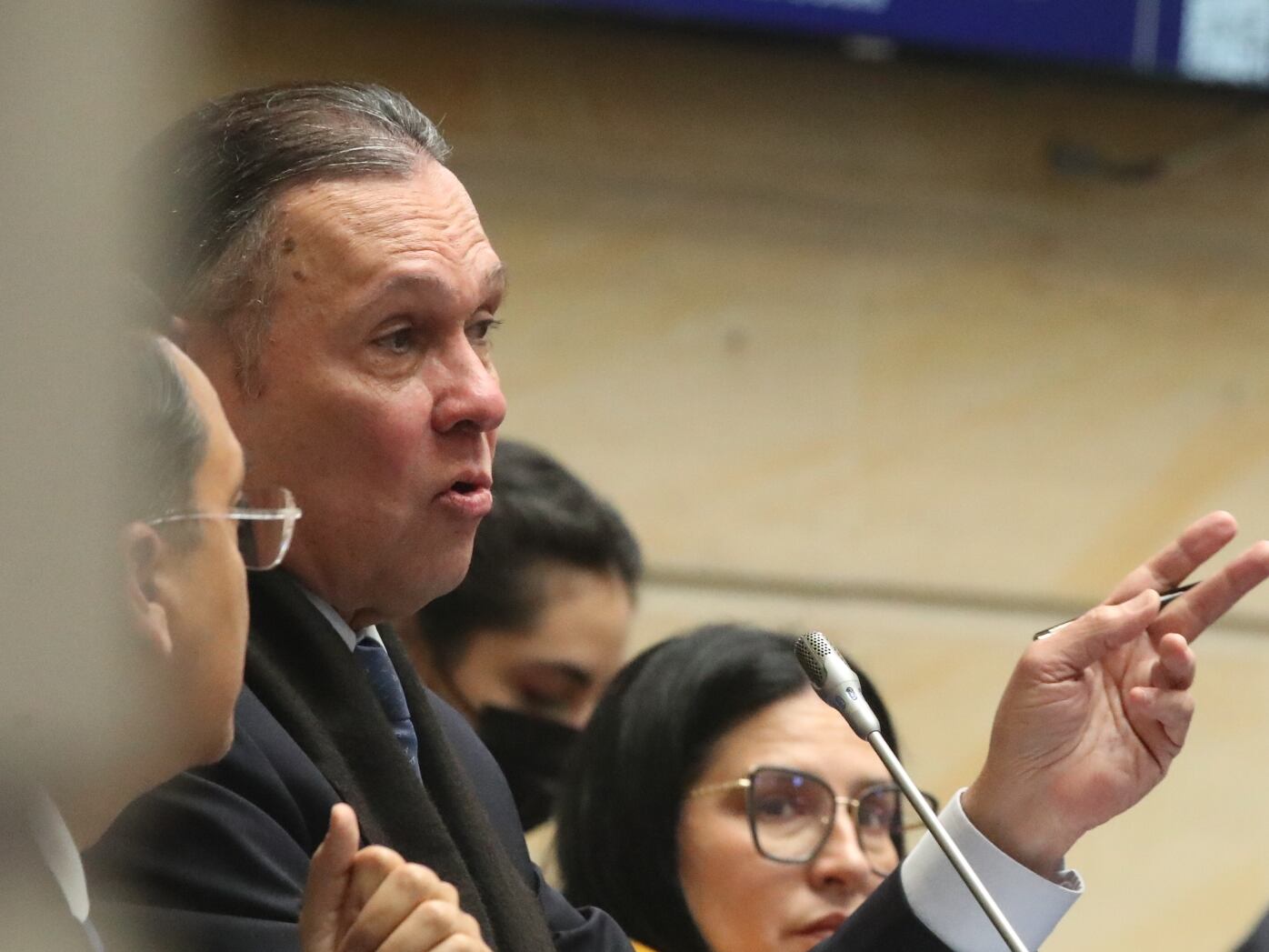 Plenaria Senado, consulta popular