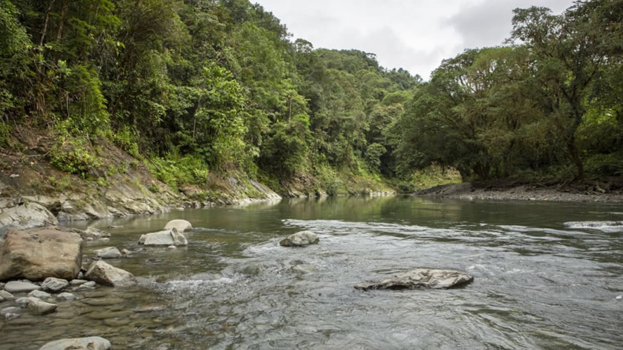 Atractivos naturales del Valle del Cauca.