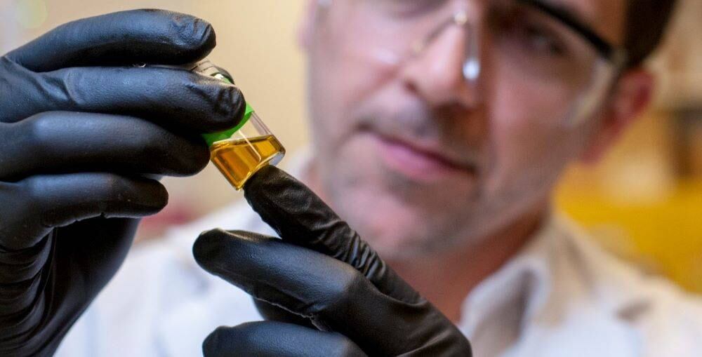 Industria del cannabis medicinal