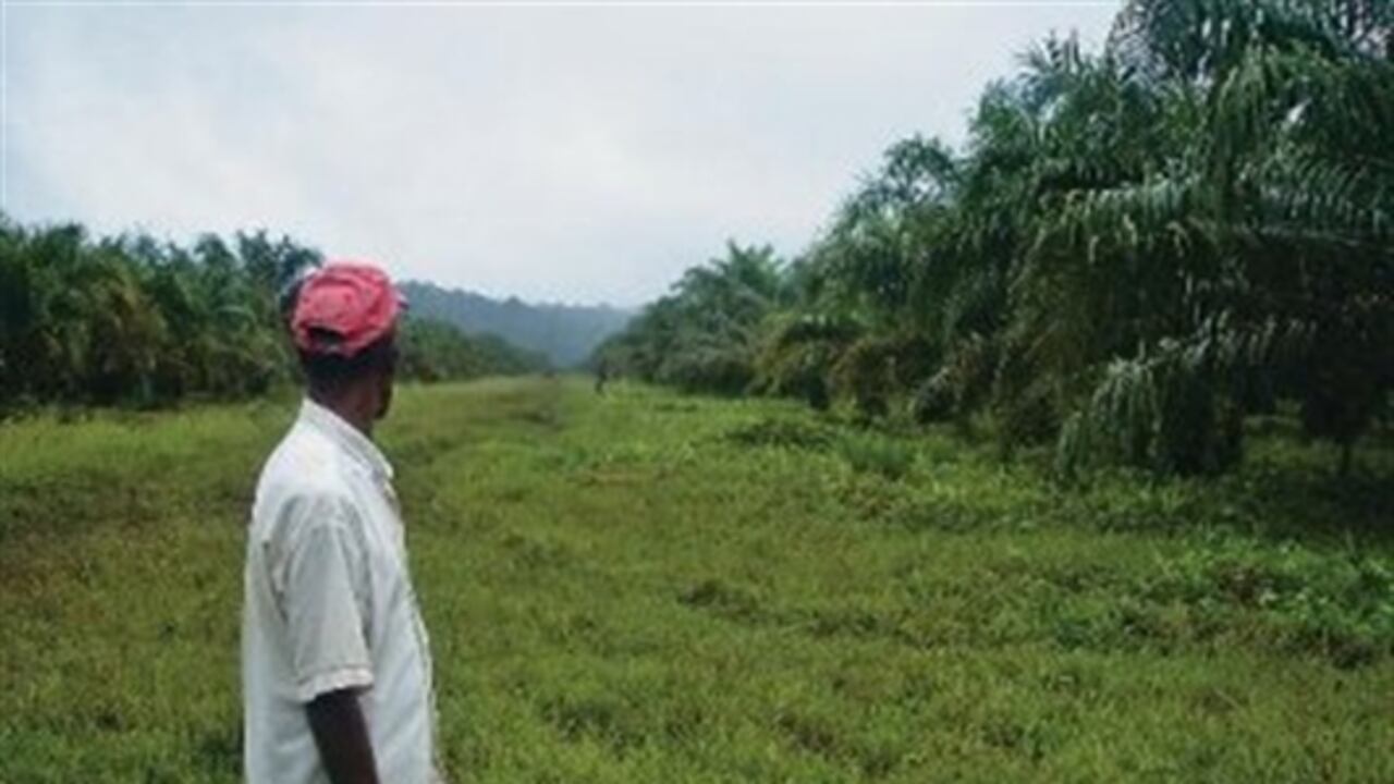 Los procesos de restitución se iniciarán en las áreas más afectadas por la acción de los grupos armados al margen de la Ley.