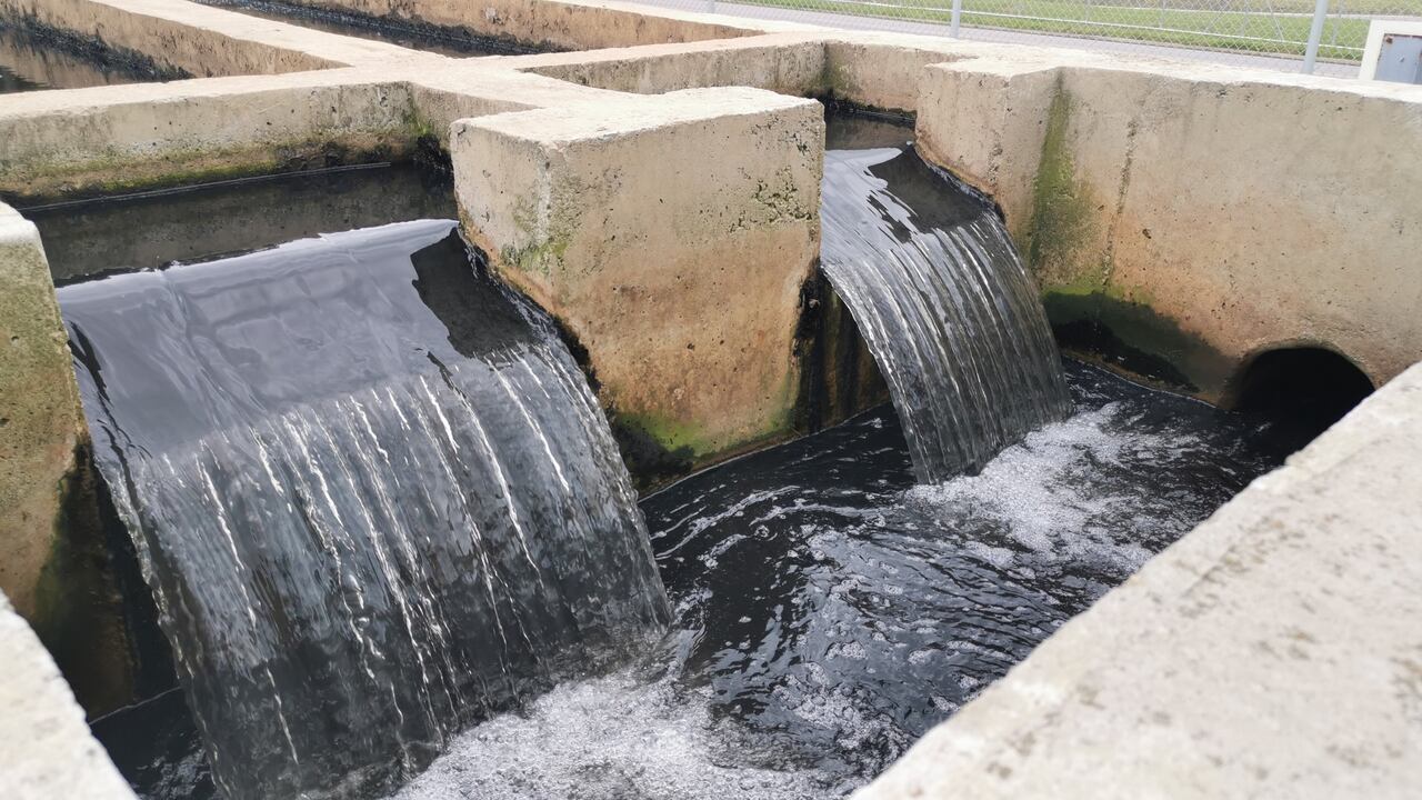 Las heces de una persona con la covid-19 transportan el virus, que pasa de esa forma a las aguas residuales.