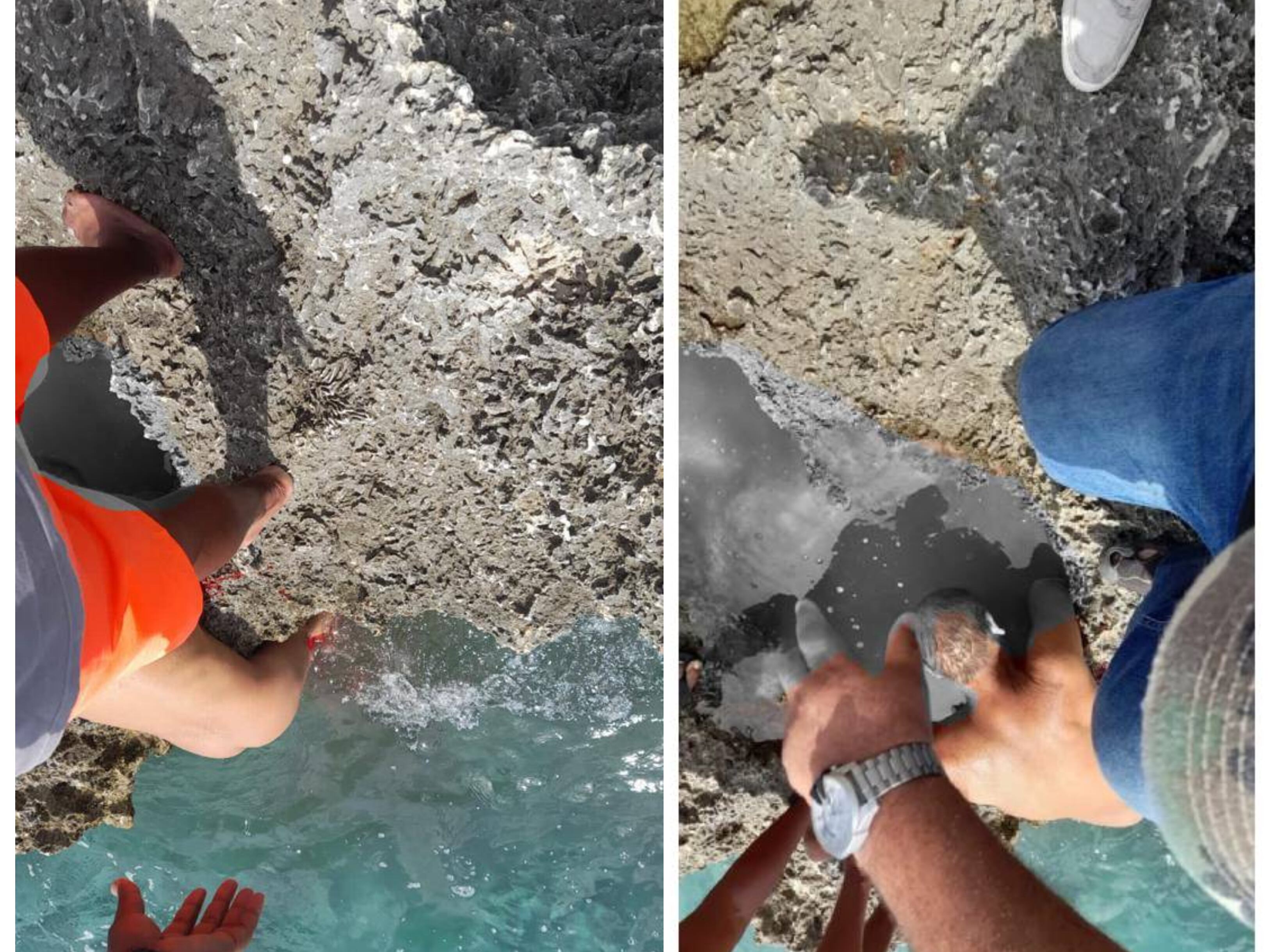 Hombre italiano murió luego de la mordedura de un tiburón en San Andrés.