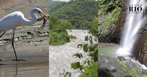 A pesar de la evidente contaminación del río Bogotá en su último tramo, sus zonas aledañas son reservorios repletos de naturaleza. Foto: Nicolás Acevedo Ortiz.