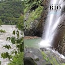 A pesar de la evidente contaminación del río Bogotá en su último tramo, sus zonas aledañas son reservorios repletos de naturaleza. Foto: Nicolás Acevedo Ortiz.