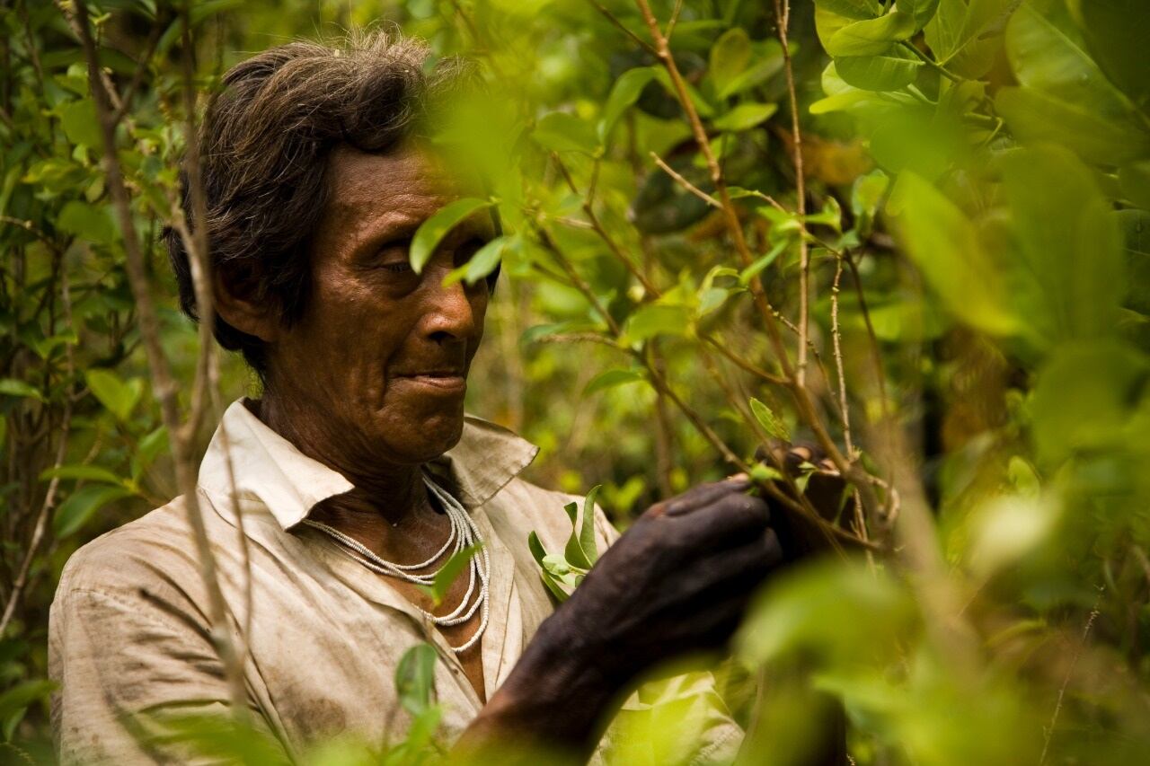 Formas de producción indígena