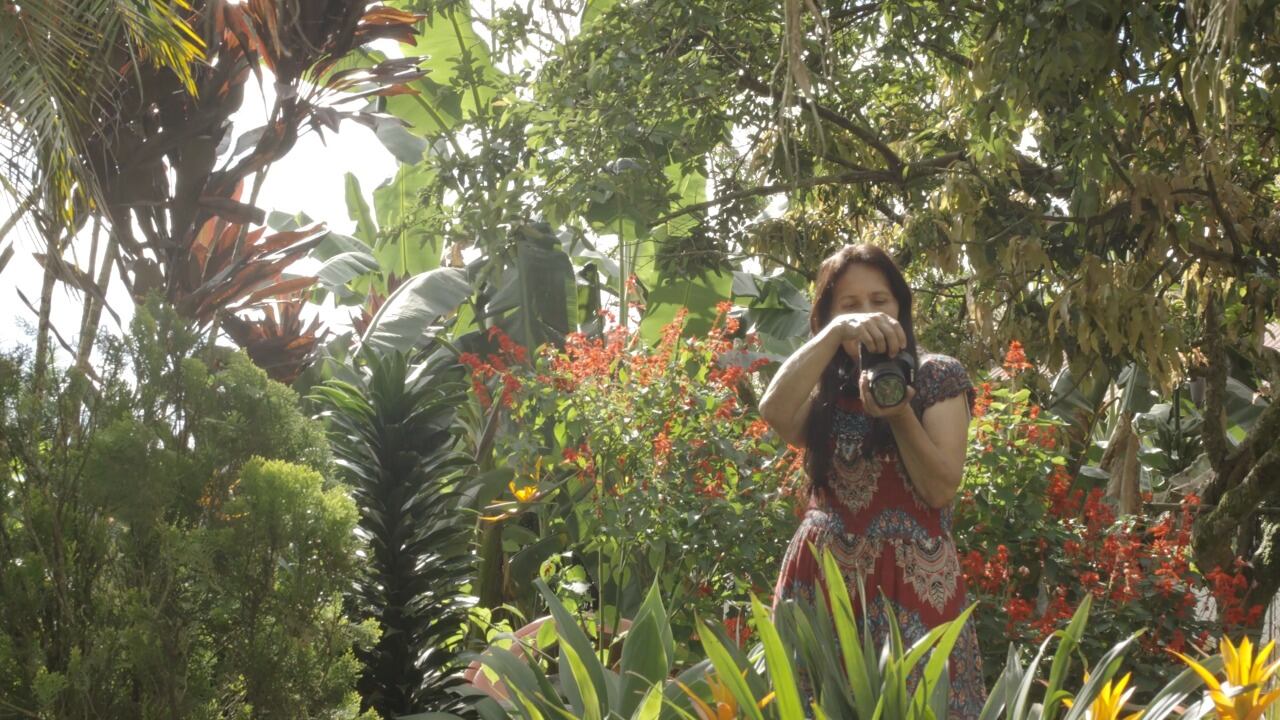 Festival Internacional de cine “El Cine Suma Paz”