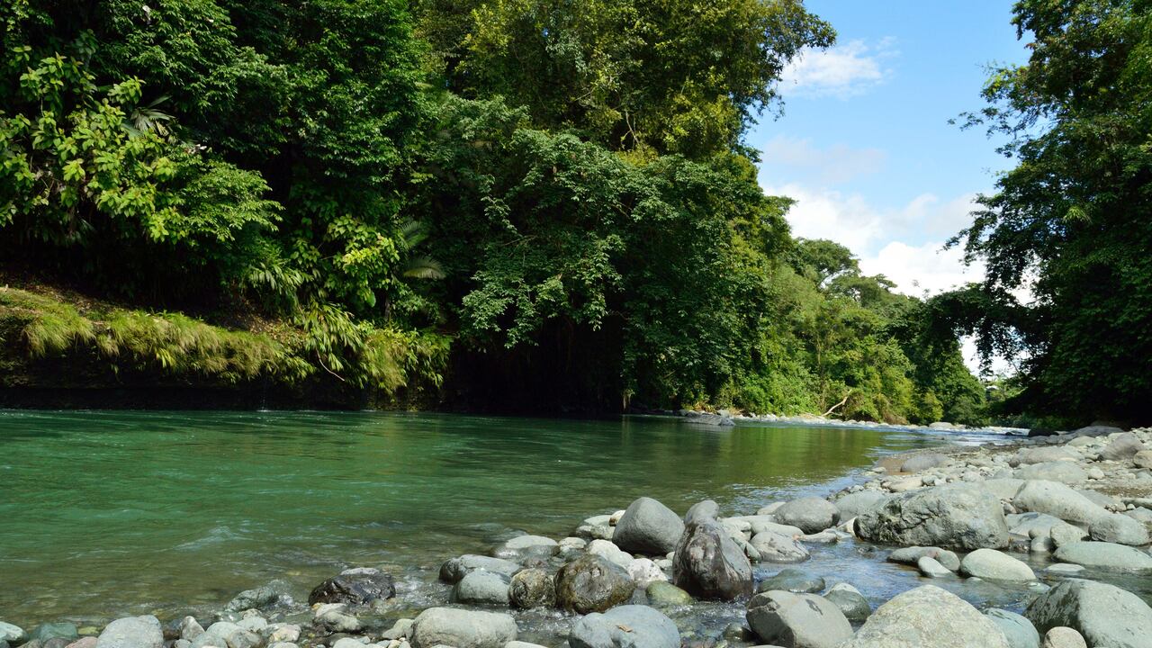 La turista se encontraba con sus amigos cuando fueron arrastrados por la creciente.