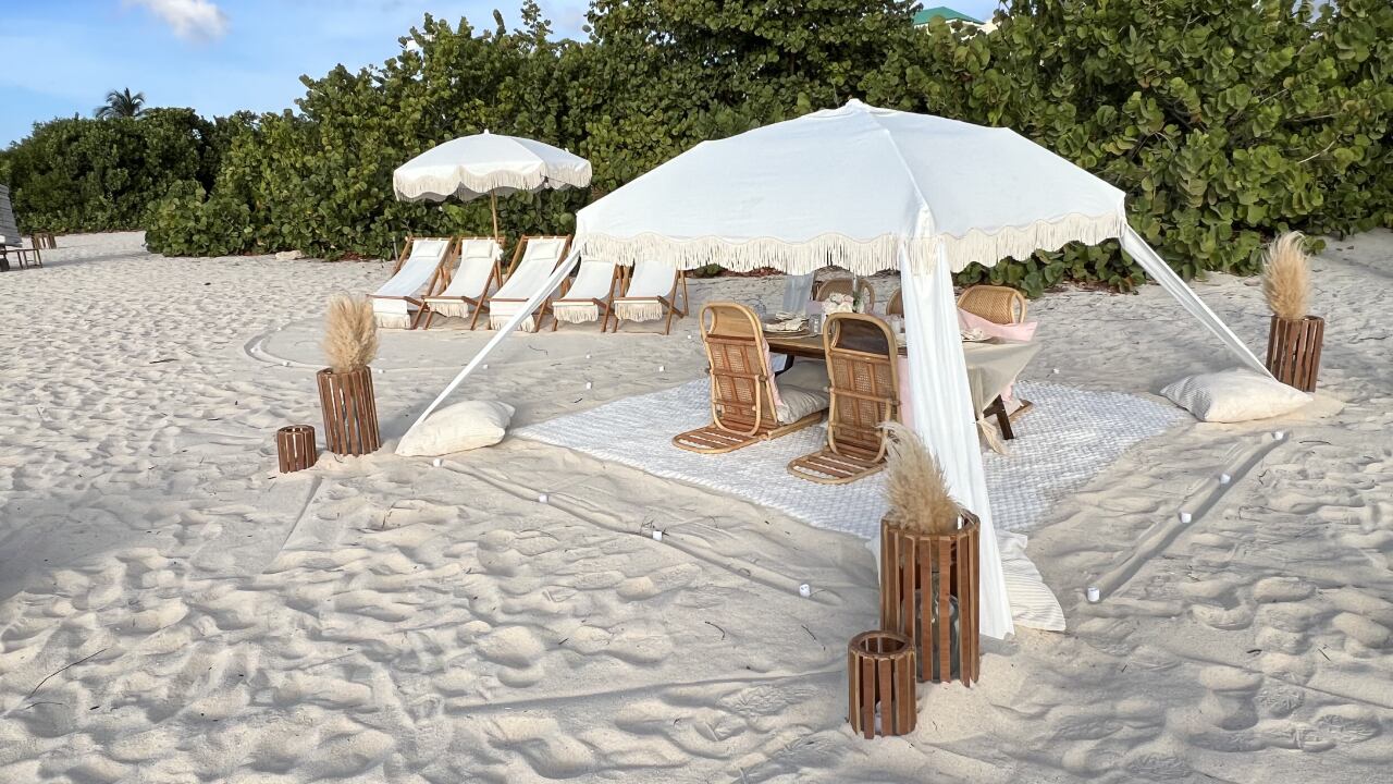 Un picnic en Eagle Beach se disfruta entre la arena blanca más suave de Aruba, bajo la sombra de los icónicos árboles divi-divi y frente a un mar turquesa que invita a la tranquilidad.
