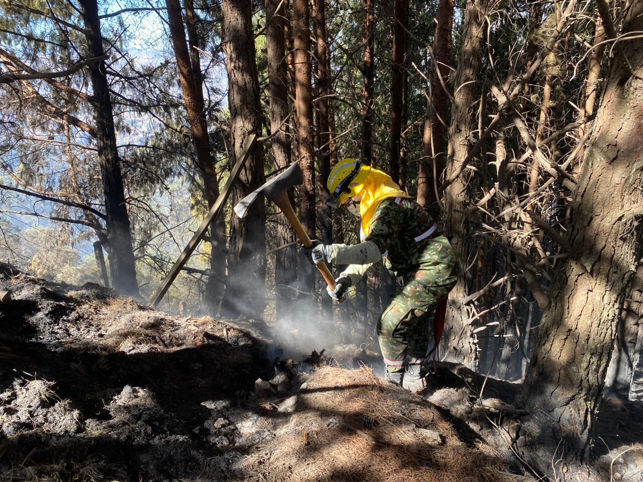 Incendio forestal en los cerros orientales  en Bogotá