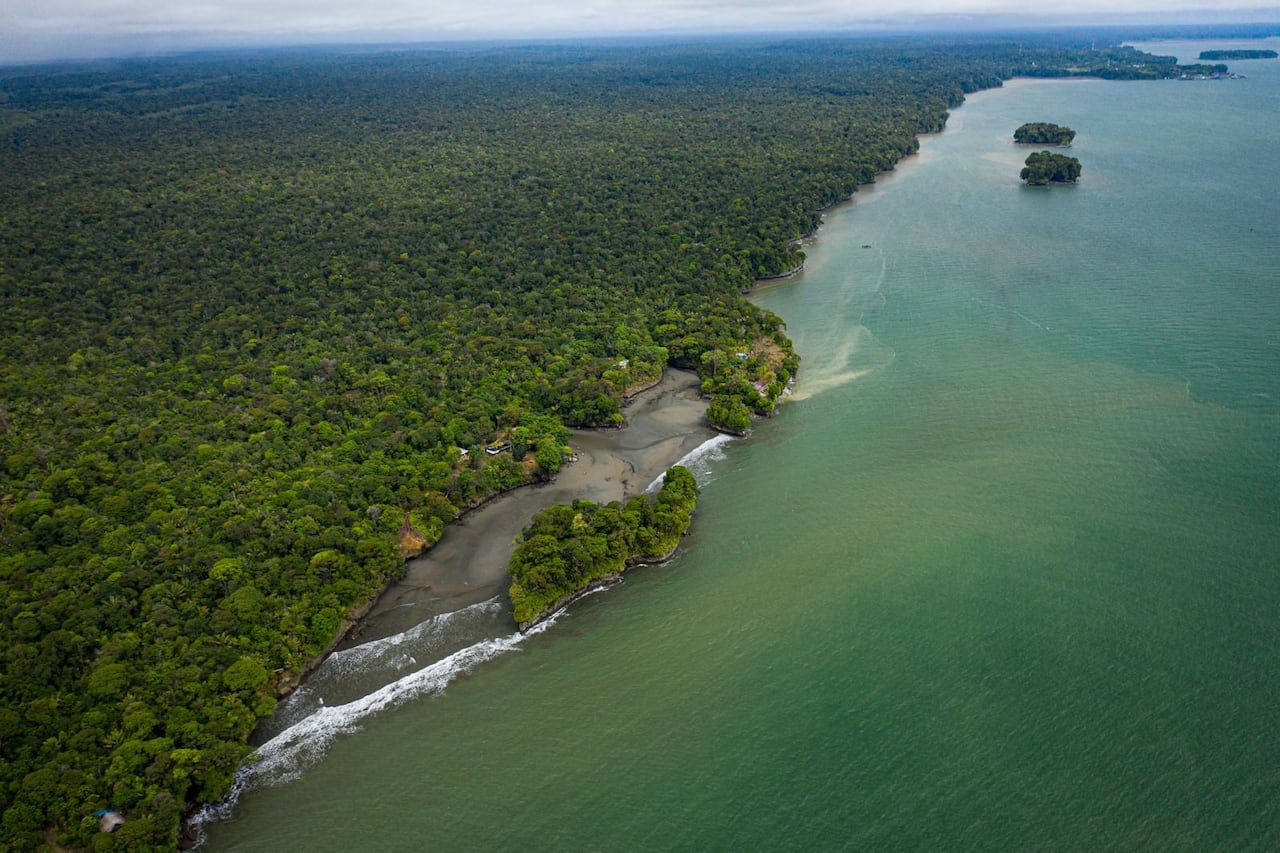 El Valle del Cauca en Fitur 2025: la estrategia que busca consolidarlo como destino turístico de clase mundial