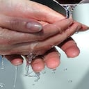 Sxc - Lavarse bien las manos con abundante agua y jabón antes de preparar los alimentos