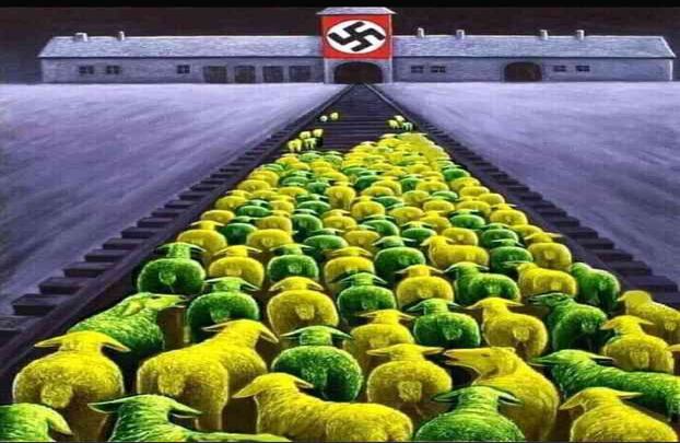 Los corderos brasileños caminan hacia el matadero, según este meme que ha circulado en Twitter. 