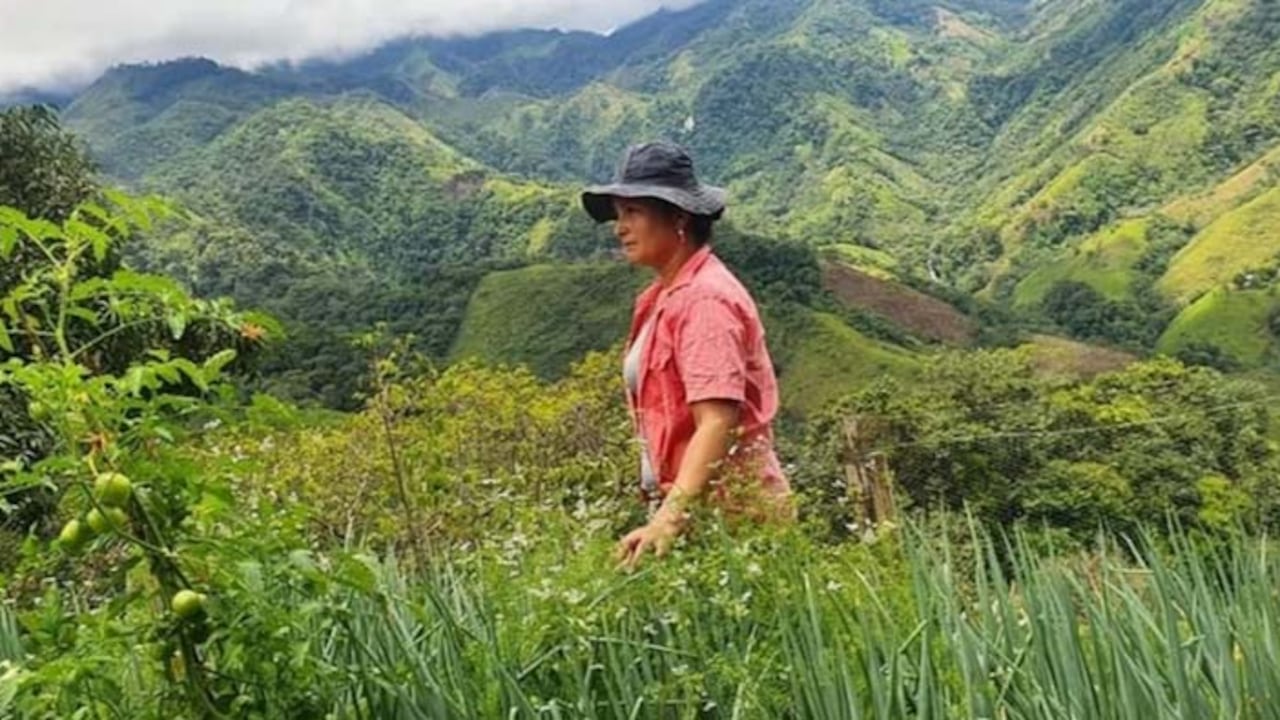 La biodiversidad es una esponja para los gases de efecto invernadero que causan el cambio climático. Crédito: cortesía Juan Ángel Salazar Losada. Agencia Anadolu.