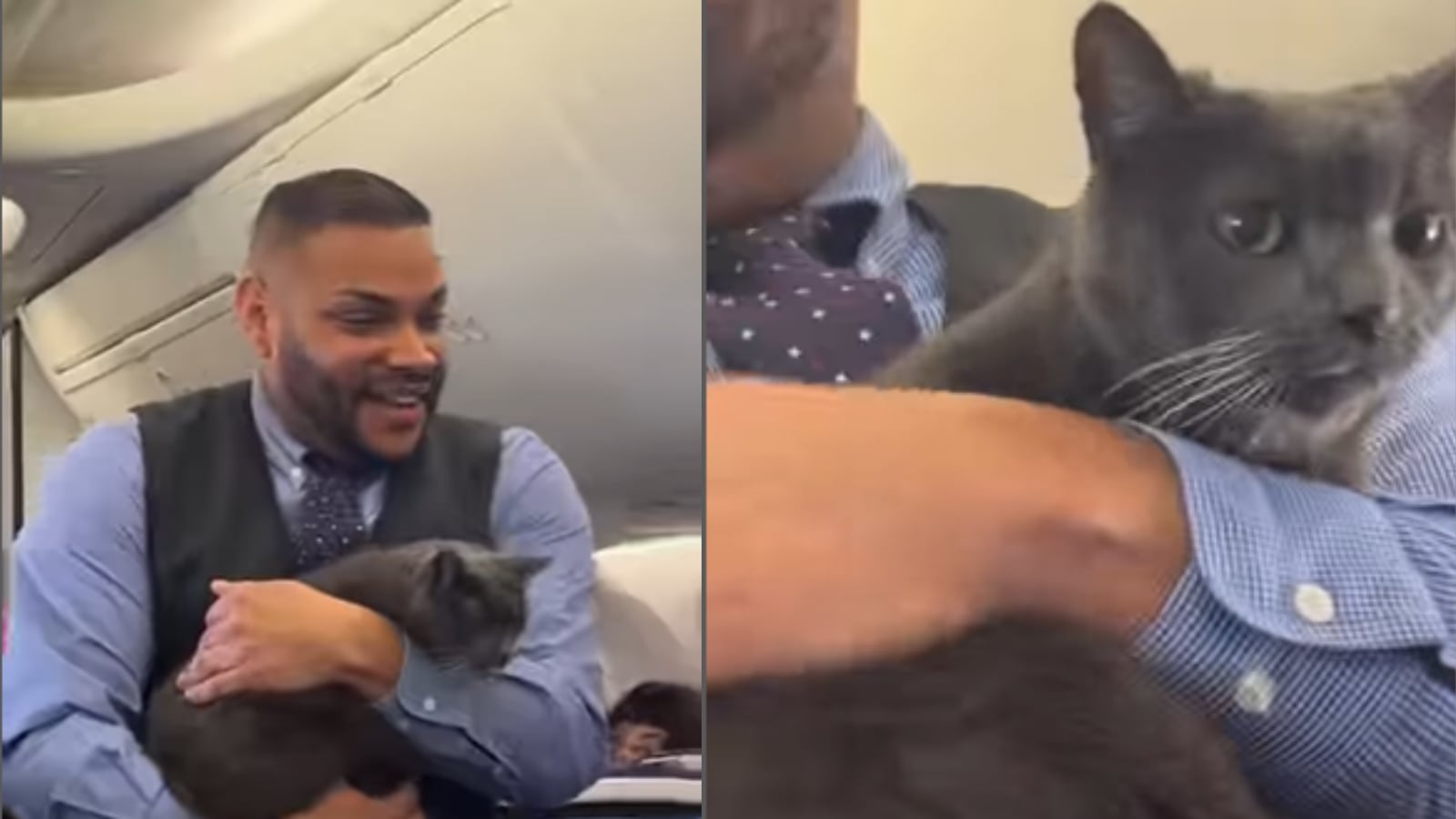 En las imágenes se aprecia a un auxiliar de vuelo de Southwest Airlines con el gato en brazos, caminando por el pasillo mientras hace los chequeos previos al despegue,
