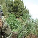 El Ejército de Ecuador dio a conocer el ataque de manera oficial donde dos de sus soldados resultaron heridos.