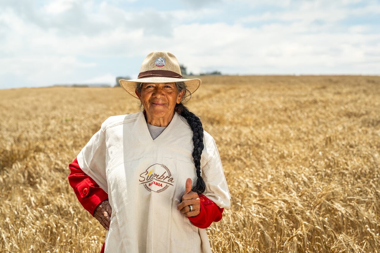 Gobernación de Boyacá, el Ministerio de Agricultura y Bavaria, con una inversión estimada de 40.000 millones de pesos. Con esta nueva infraestructura se beneficiarán más de 2.000 cultivadores.