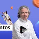 Enrique Vallejo - Salud Animal, Medicamentos