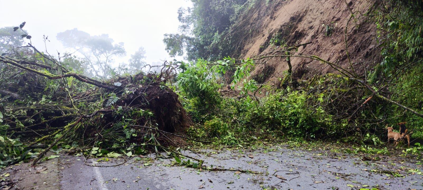 Como ruta alterna para llegar a Bogotá, está la vía La Línea