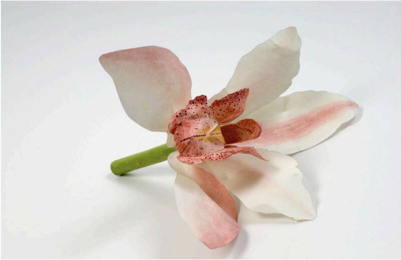 'Orquídea' (2007), Mateo López. Foto: cortesía MAMBO.