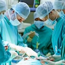 La cirugía a un menor para extraer uno de sus penes fue un procedimiento delicado.