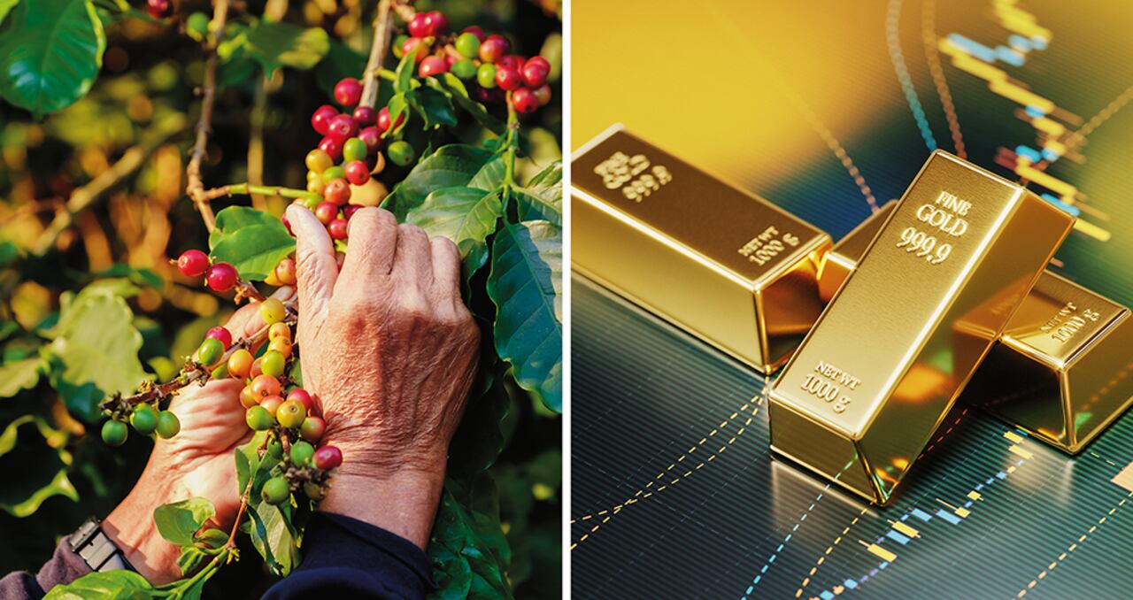 +Se espera que la cosecha cafetera deje en 2021 unos 10 billones de pesos, un billón más que en 2020. La producción se mantendría en 14 millones de sacos.