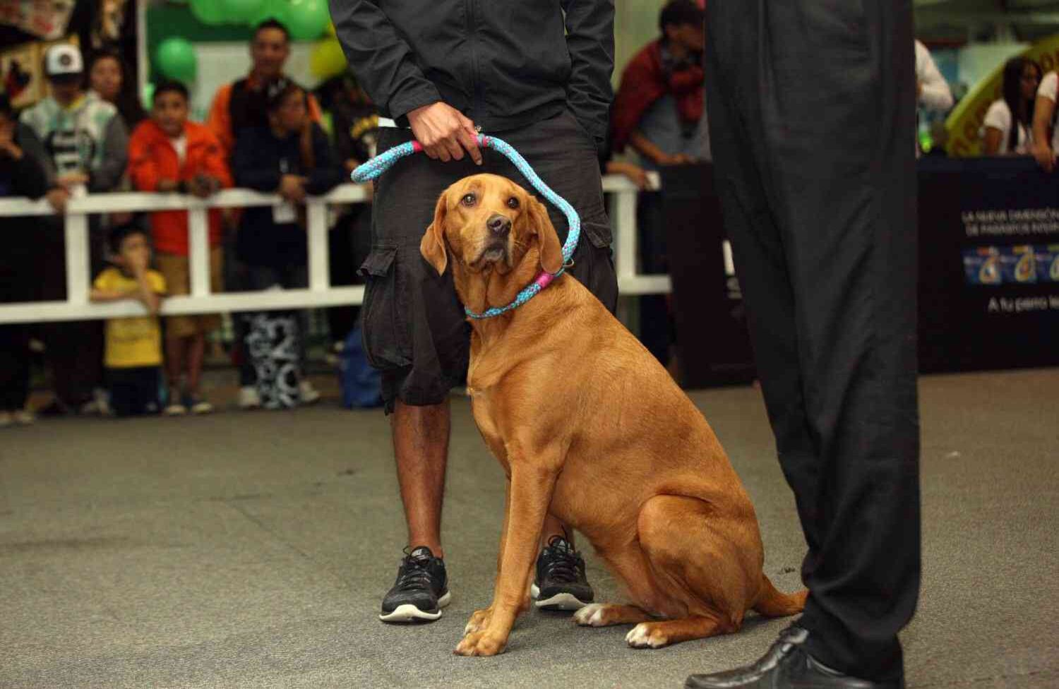 Foto: León Darío Peláez / SEMANA 