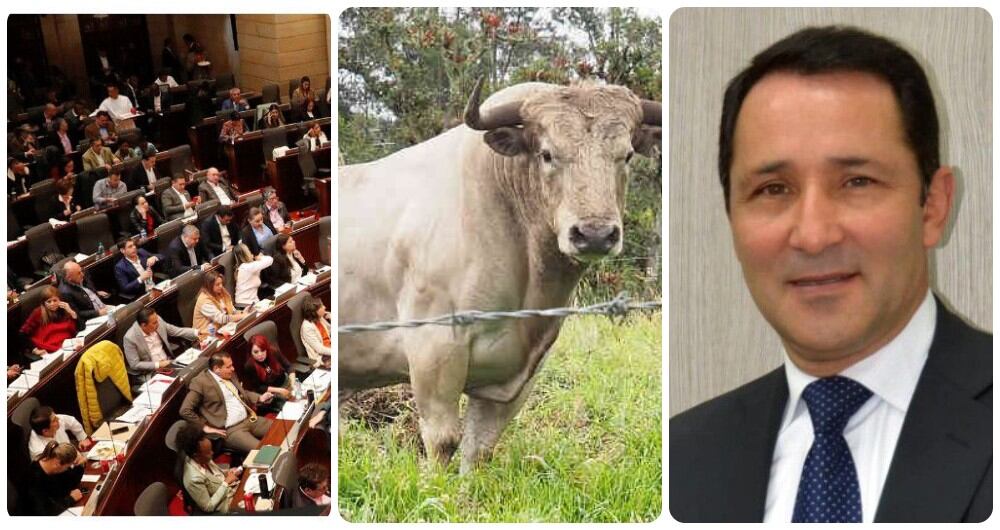 César Rincón, indignado porque el Congreso prohibió las corridas de toros en Colombia.