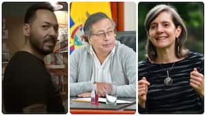 "Rechazo categóricamente los trinos de Daniel Mendoza Leal. Son misóginos y avalan la violencia sexual contra mujeres y niñas".