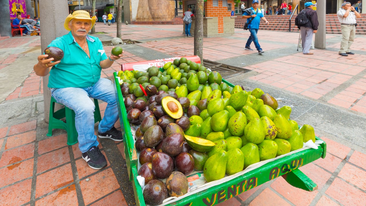 Adulto mayor que vende aguacate en Medellín.