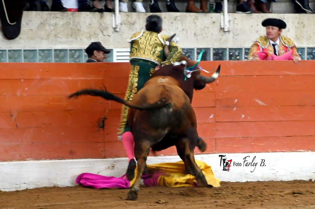 El matador colombiano Luis Bolívar fue corneado por el primero de la tarde en el centenario de Mondoñedo.