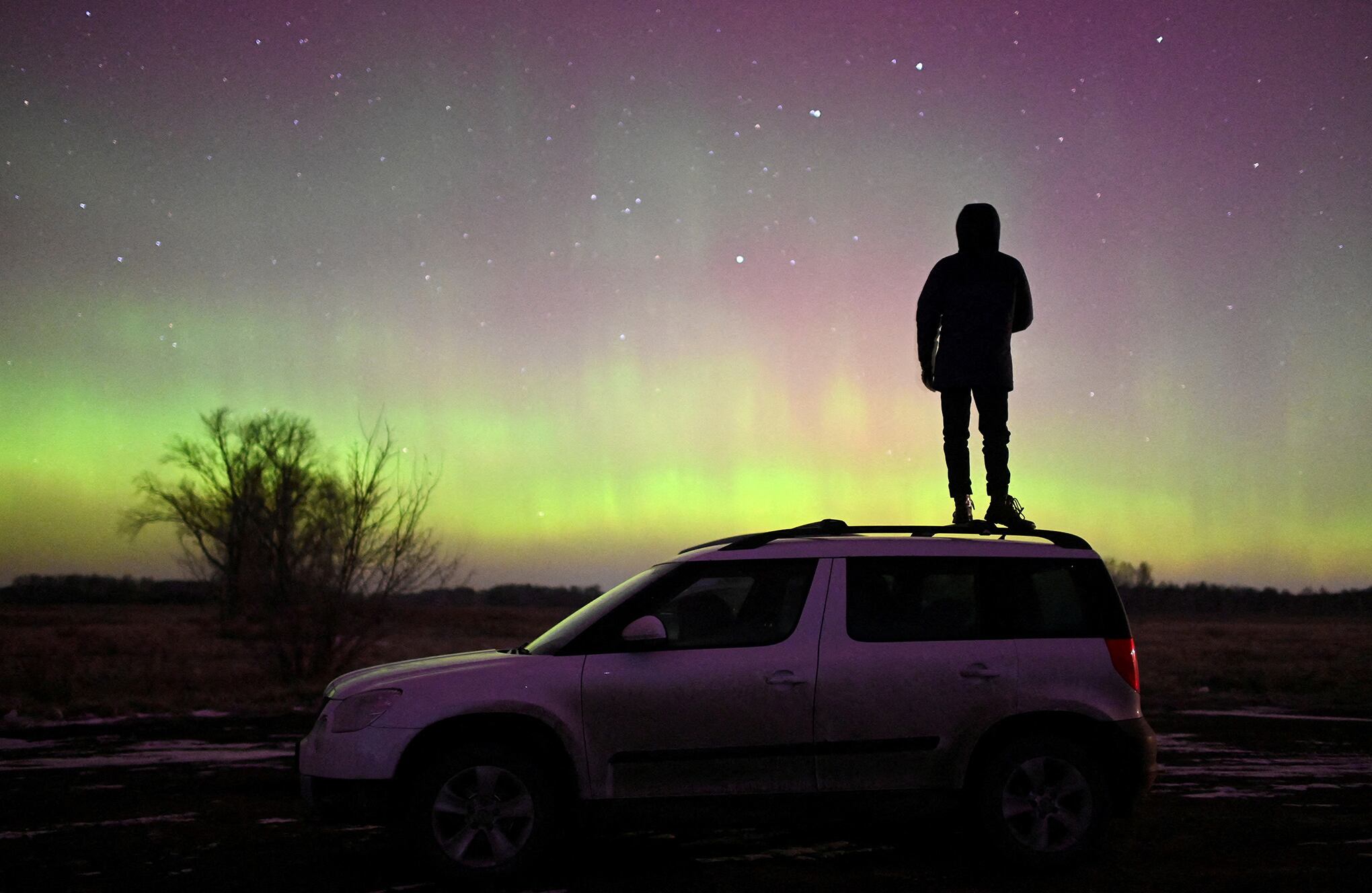 Fotos de la semana 10 noviembre