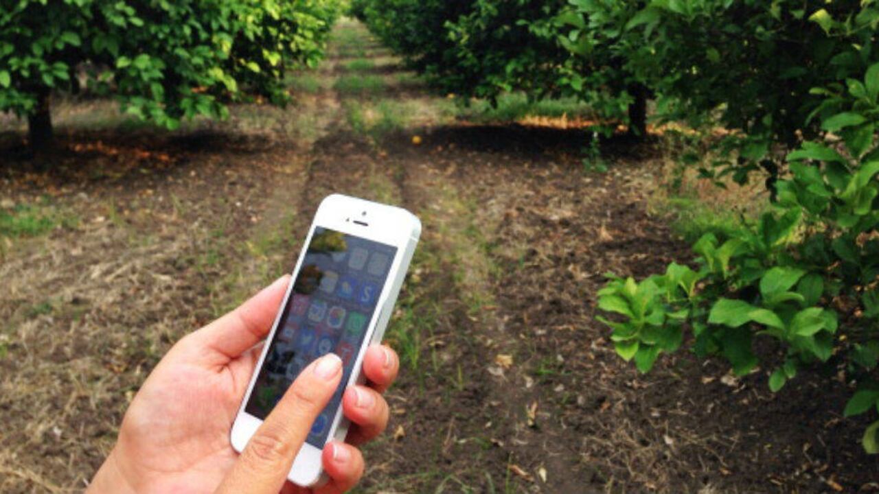 Foto: Intenert/Getty.