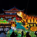 SHANGHAI, CHINA - JANUARY 18: Tourists watch a light installation featuring the tiger, the Chinese zodiac animal for the upcoming lunar year, during the annual lantern show at Yuyuan Garden on January 18, 2022 in Shanghai, China. The annual lantern show at Yuyuan Garden kicks off on Tuesday in Shanghai. (Photo by VCG/VCG via Getty Images)