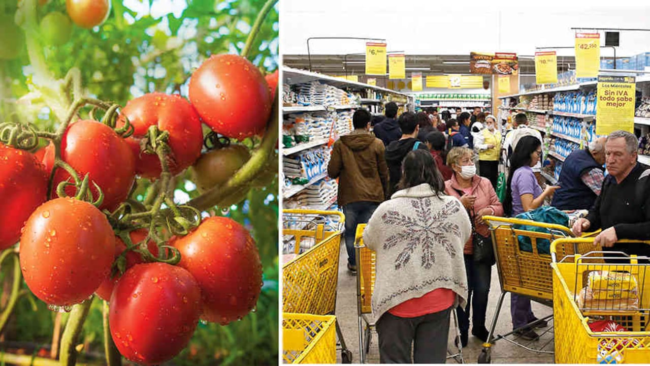 Los productores del agro garantizan la seguridad alimentaria, mientras las industrias y el comercio trabajan a marchas forzadas para producir y vender insumos que garanticen la sanidad.