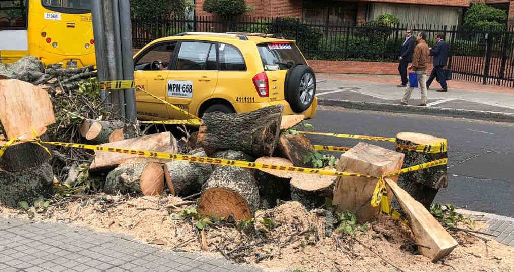 La tala de árboles ha sido tema de rechazo en diversas zonas de Bogotá.