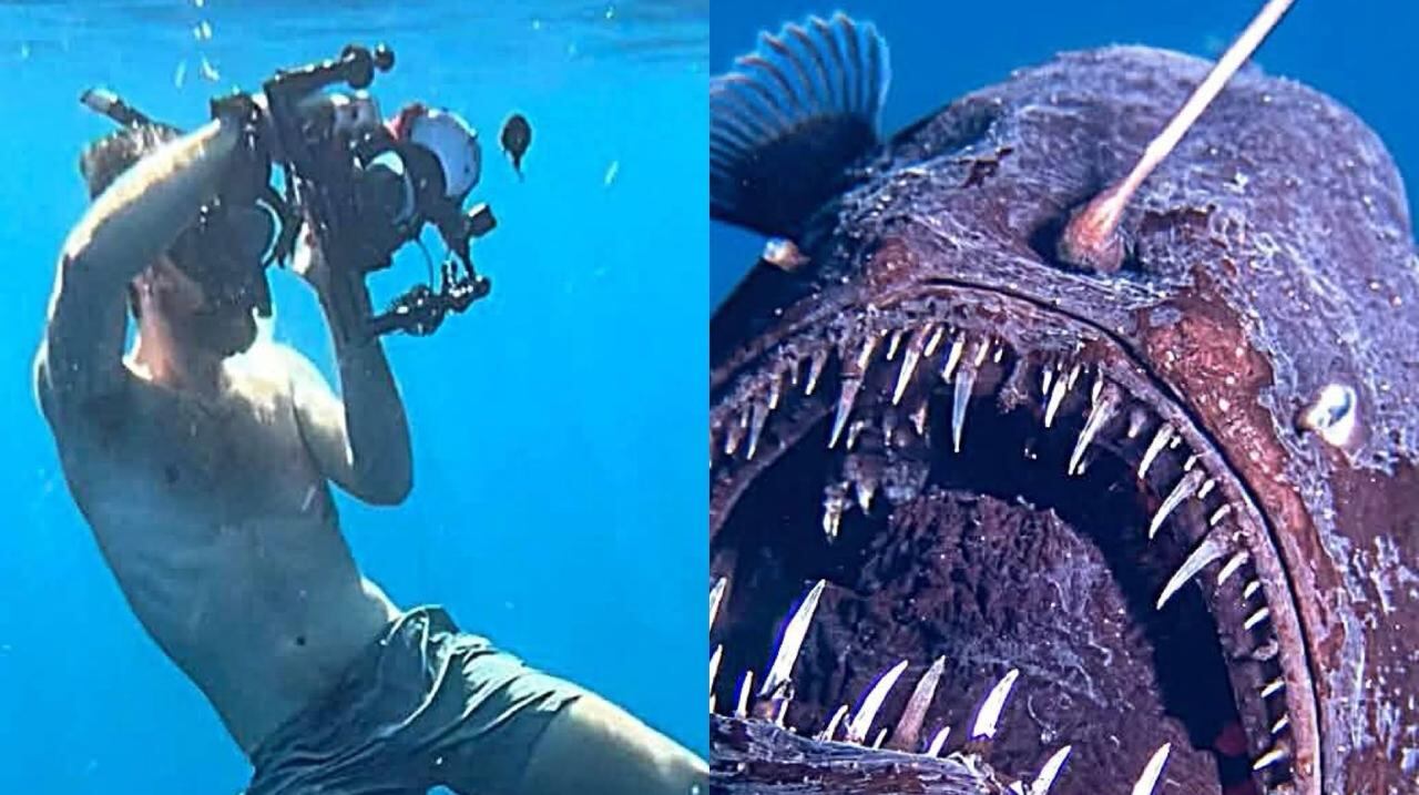 El fotógrafo descartó otras hipótesis que han surgido en Internet, como la del cambio climático.