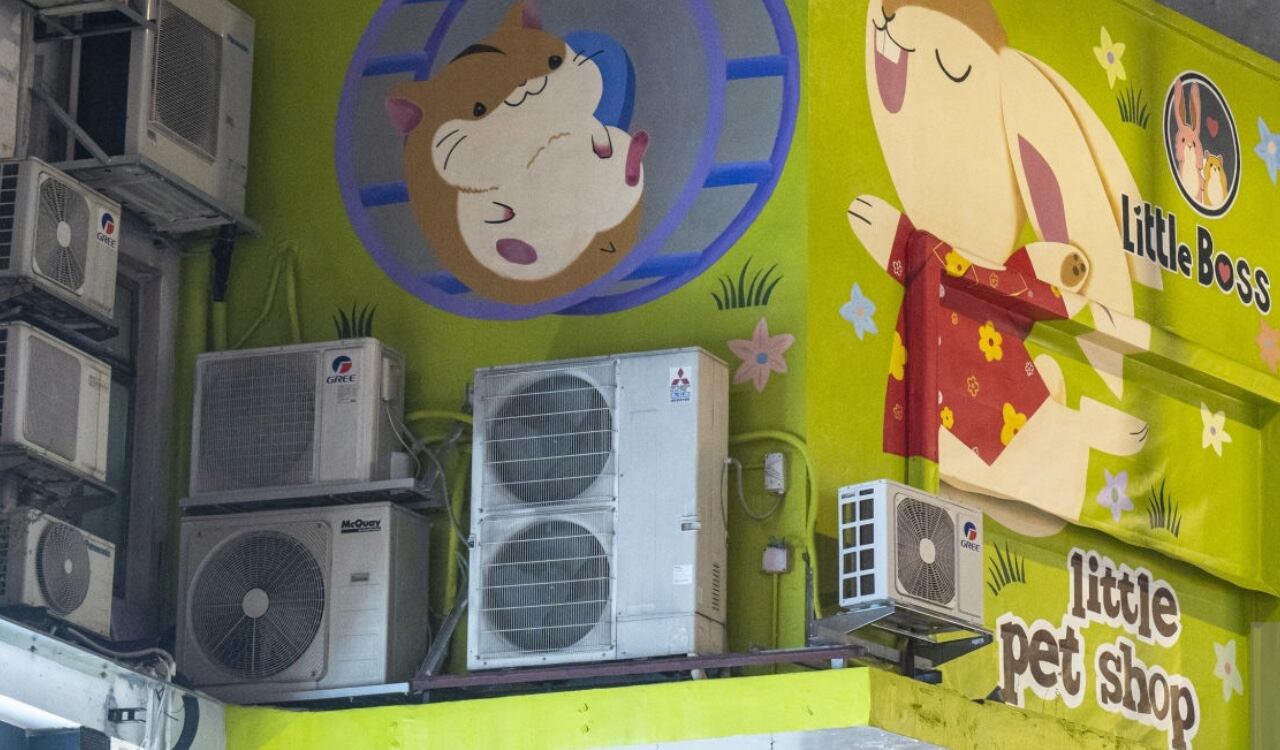 Little Pet Shop fue la tienda intervenida en Hong Kong